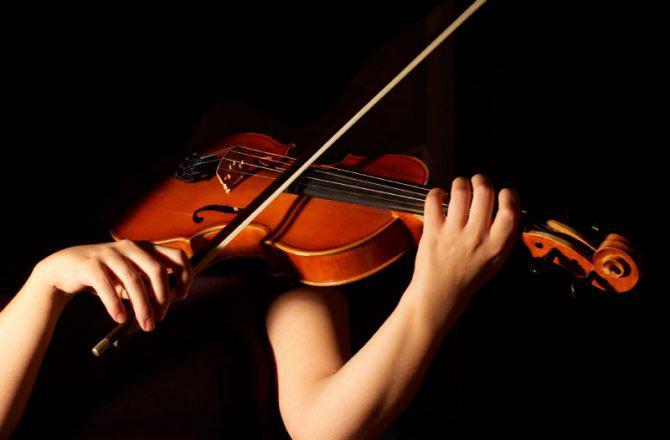 Violino e Violoncelo