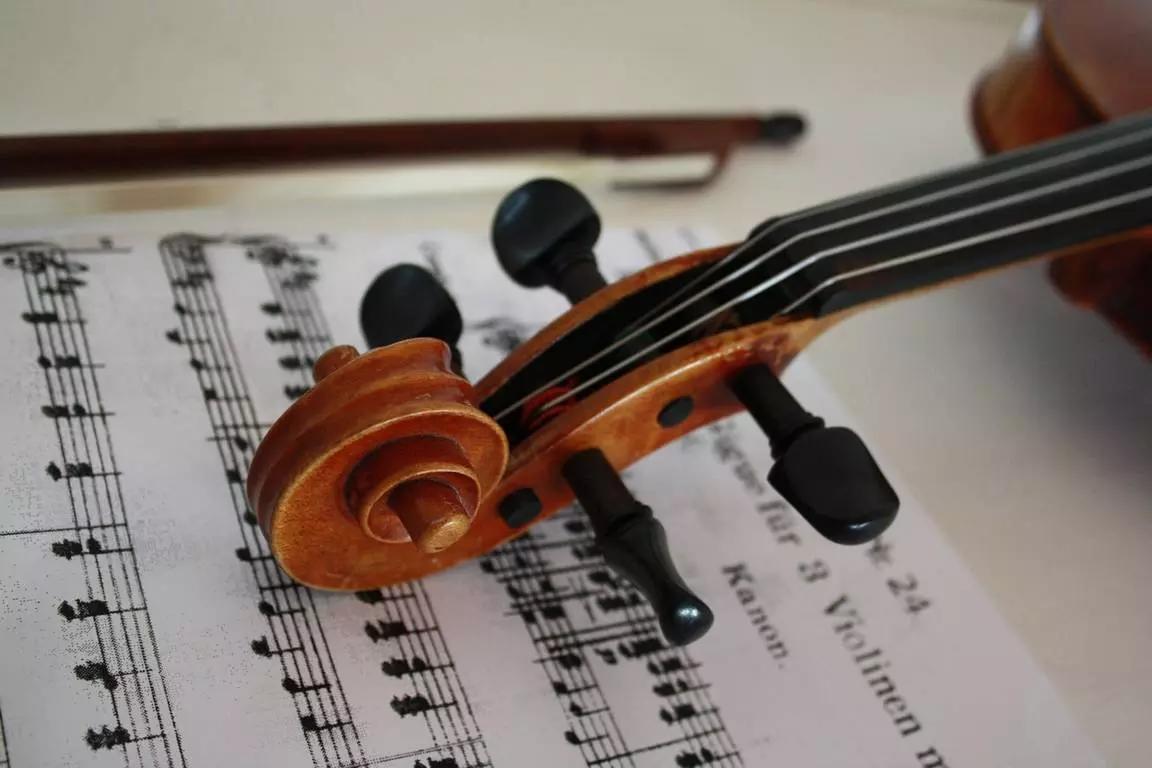 Violino